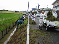 写真:草刈り