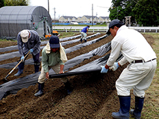 写真:耕作放棄地の解消