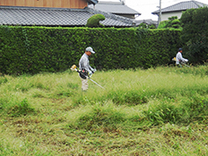 写真:耕作放棄地の草刈り