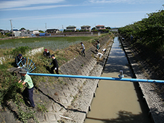 写真:草刈り