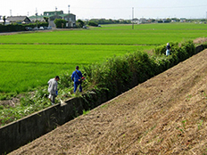 写真:草刈り