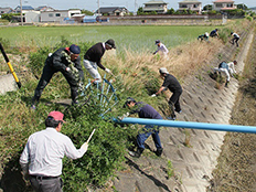 写真:水路の草刈