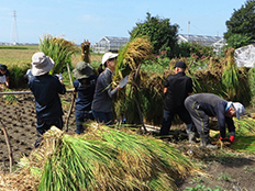 写真:地域住民との交流活動