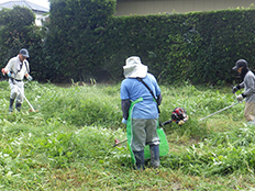 写真:農用地草刈